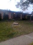 Sweetgum Removal Florissant Missouri 5