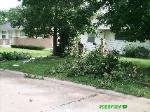 Tree Removal Riverview, MO 3