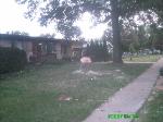 Sweetgum Removal Florissant Missouri 4